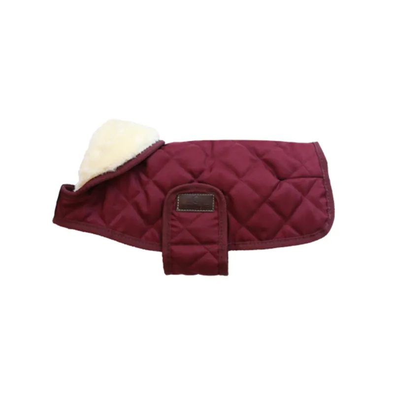 Kentucky Dogwear Dog Coat Bordeaux
